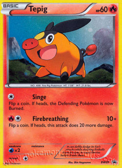 Tepig