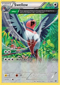Swellow