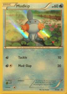 Mudkip