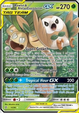 Rowlet & Alolan Exeggutor GX