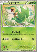 Snivy