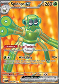 Spidops ex