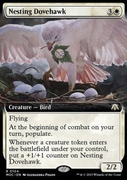 Nesting Dovehawk