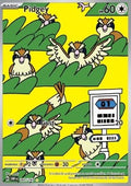 Pidgey