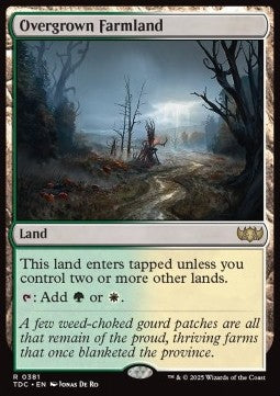 Overgrown Farmland
