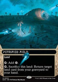 Petrified Field (V.1)